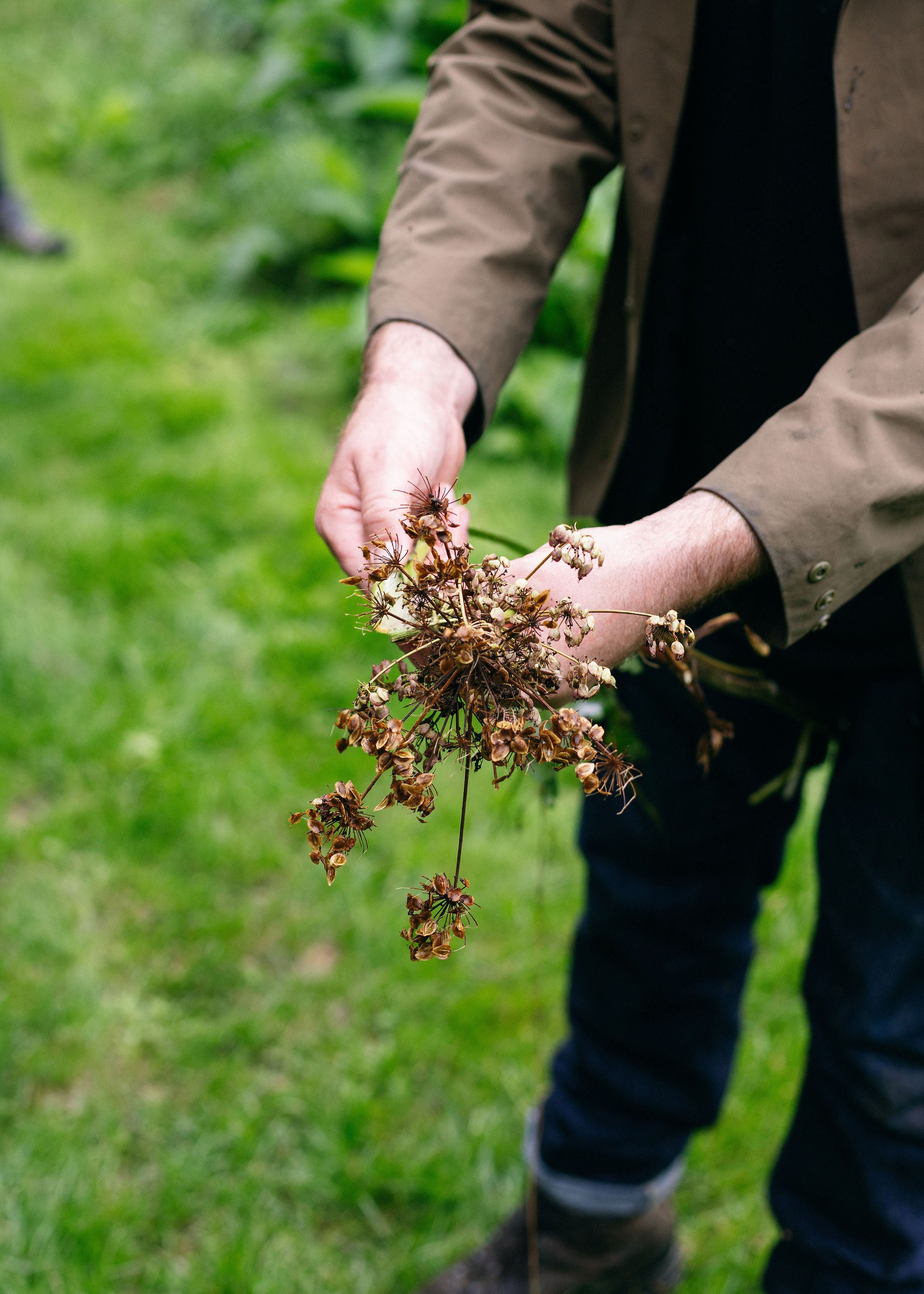 Forage & Fermentation with Totally Wild