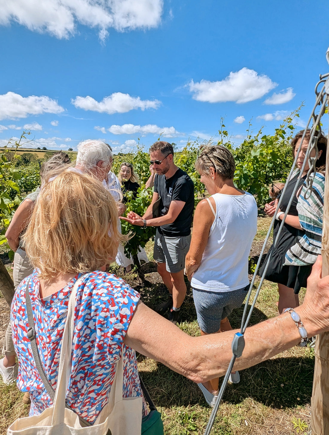 Vineyard Masterclass