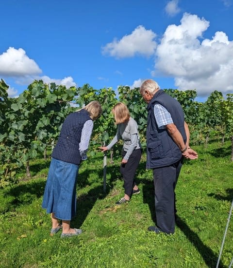 What to Expect on a Wine Tour