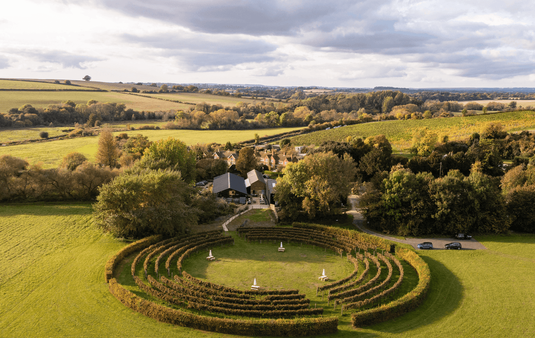 Exploring Black Chalk: Vineyard Walking Tour Map