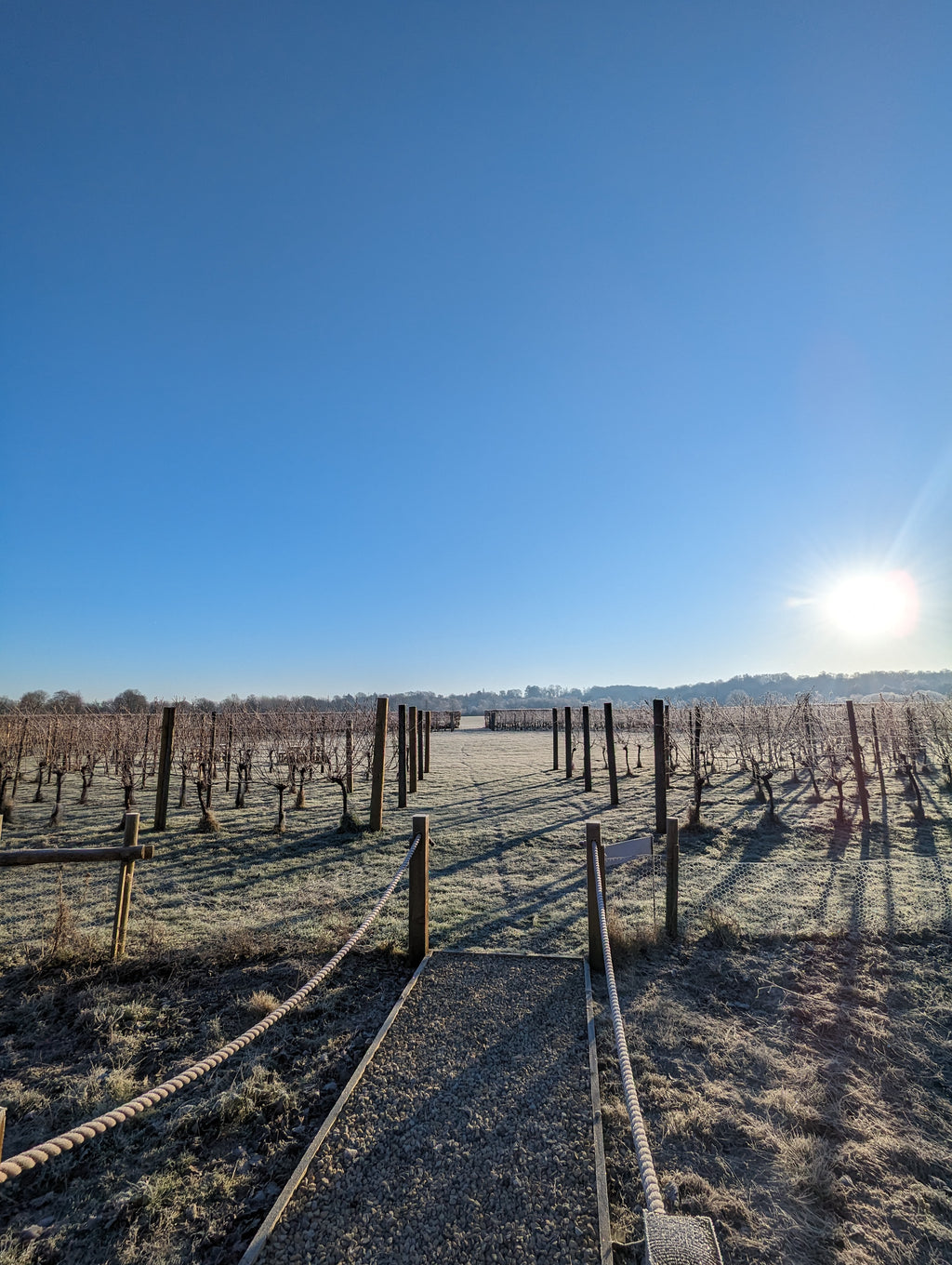 Festive Walking Tour + Tasting