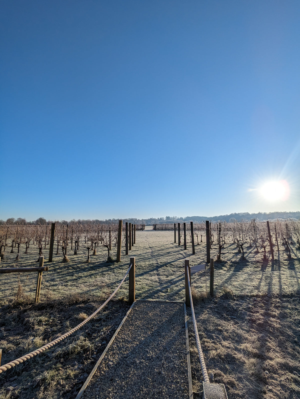 Festive Walking Tour + Tasting