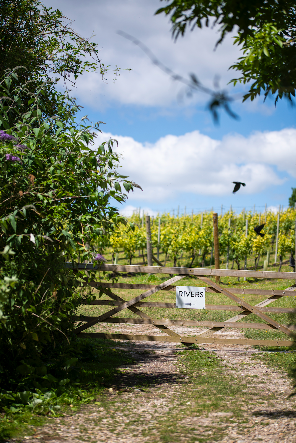 Tour + Tasting – with lunch