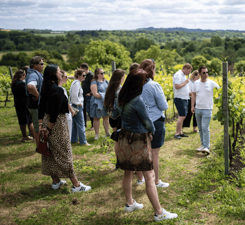 Vineyard tour and tasting — Tour + Tasting with Lunch Gift Voucher at Black Chalk, Hampshire