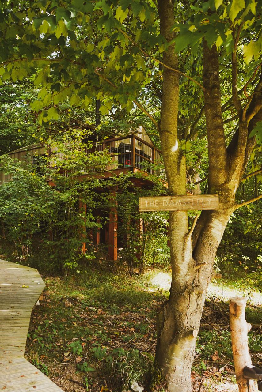 The treehouse in the vineyard — Wild Escapes Treehouse Tasting Gift Voucher at Black Chalk, Hampshire