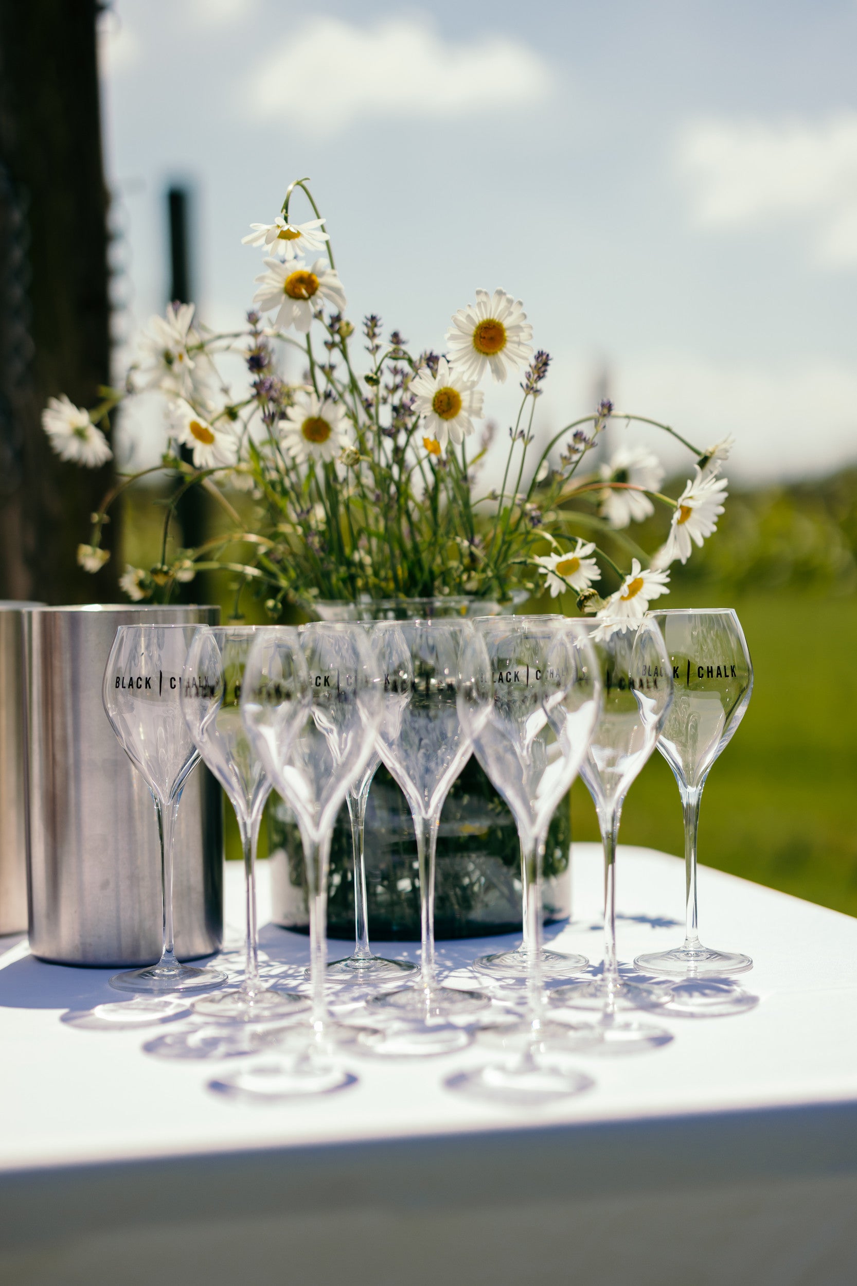 Black Chalk Sparkling Wine Glass