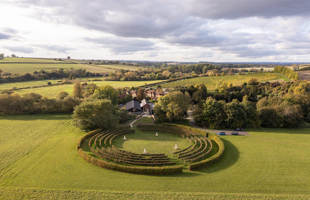 Welcome to the Circle Vineyard
