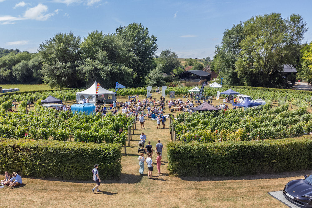 Welcome to the Circle Vineyard