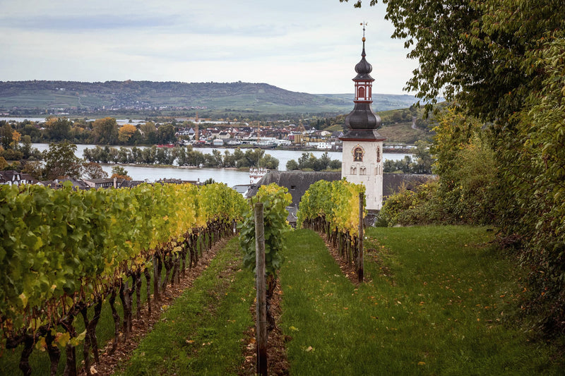 From Riverbank to Vineyard: A Journey for Wine Lovers